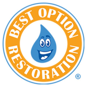 Best Option Restoration of RVA
